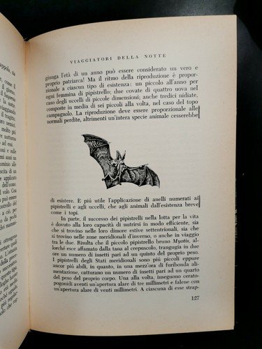 IL MONDO DELLA NOTTE di L e M Milne - …