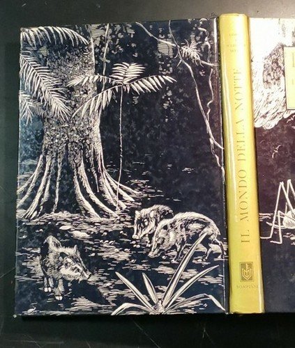 IL MONDO DELLA NOTTE di L e M Milne - …