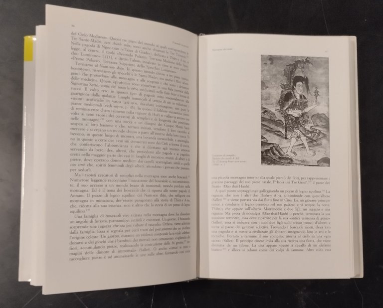IL MONDO IN PICCOLO di Ralf A Stein 1987 Il …