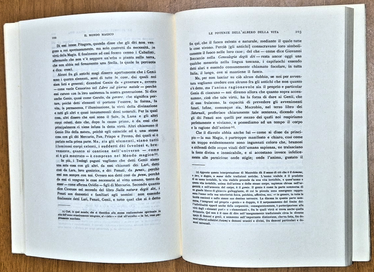 IL MONDO MAGICO DE GLI HEROI di Cesare Della Riviera …