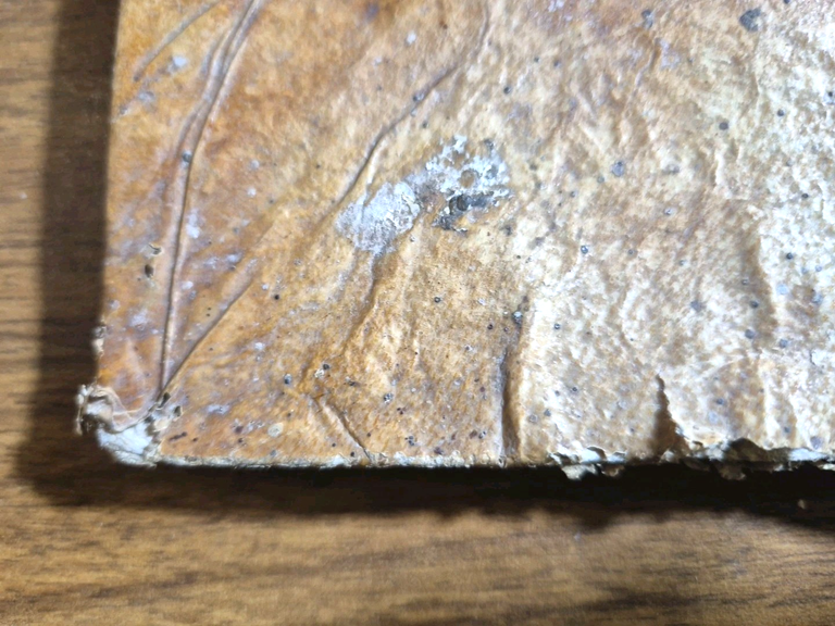 IL NEGOTIANTE di Gio Domenico Peri 1638 Calenzano Genova Libro …