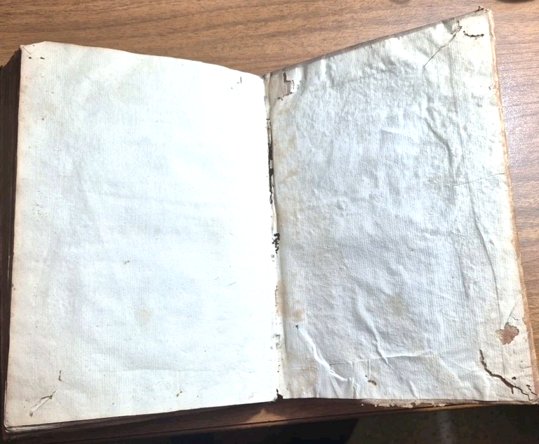 IL NEGOTIANTE di Gio Domenico Peri 1638 Calenzano Genova Libro …