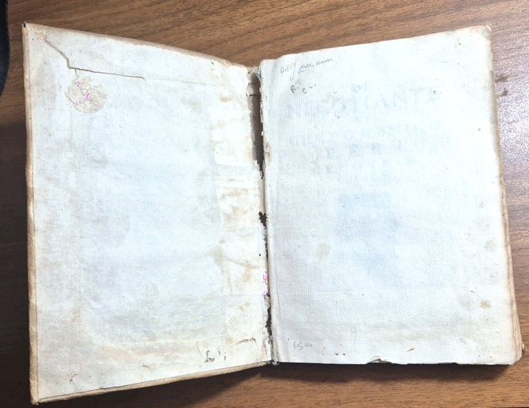 IL NEGOTIANTE di Gio Domenico Peri 1638 Calenzano Genova Libro …