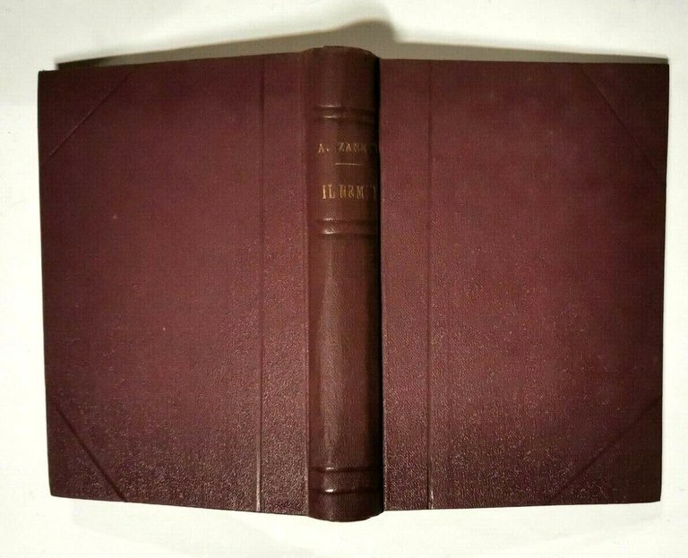 IL NEMICO di Armando Zanetti 1944 Editrice L'opinione libro narrativa …