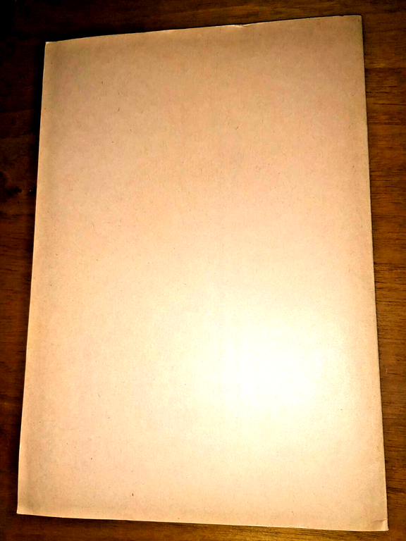 IL NOCCIOLO NELL'IRPINIA Elio Gramignani Olimpia Spidalieri 1961 Avellino Libro | Immagine Gallery 2