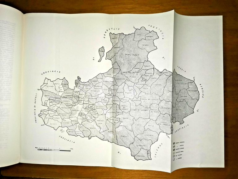 IL NOCCIOLO NELL'IRPINIA Elio Gramignani Olimpia Spidalieri 1961 Avellino Libro | Immagine Gallery 3