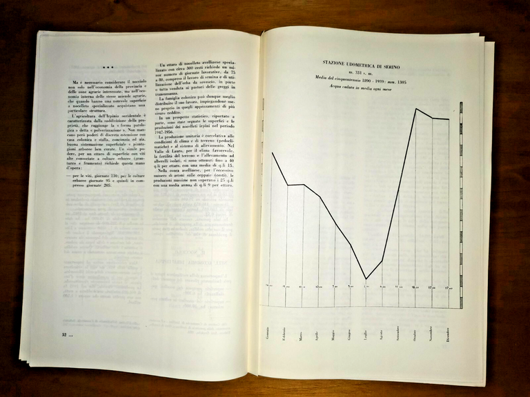 IL NOCCIOLO NELL'IRPINIA Elio Gramignani Olimpia Spidalieri 1961 Avellino Libro | Immagine Gallery 4