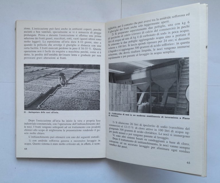 IL NOCE di Vincenzo Forte 1977 Edizioni Agricole libro manuale …
