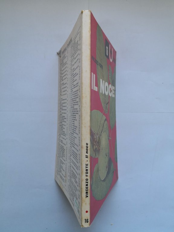IL NOCE di Vincenzo Forte 1977 Edizioni Agricole libro manuale …