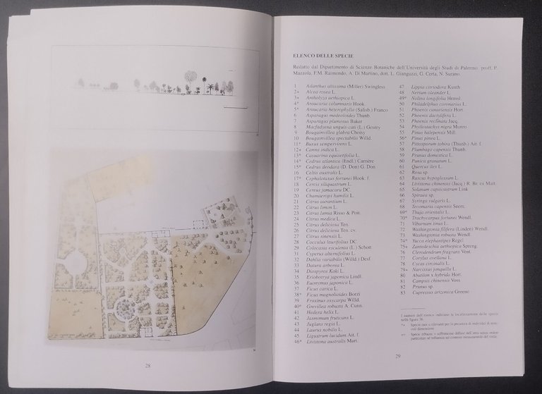 IL PARCO DEL GATTOPARDO IN SANTA MARGHERITA BELICE 1995 Regione …