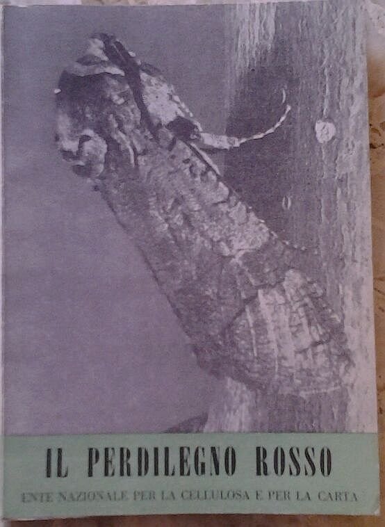 IL PERDILEGNO ROSSO ente nazionale per la cellulosa carta 1957 …