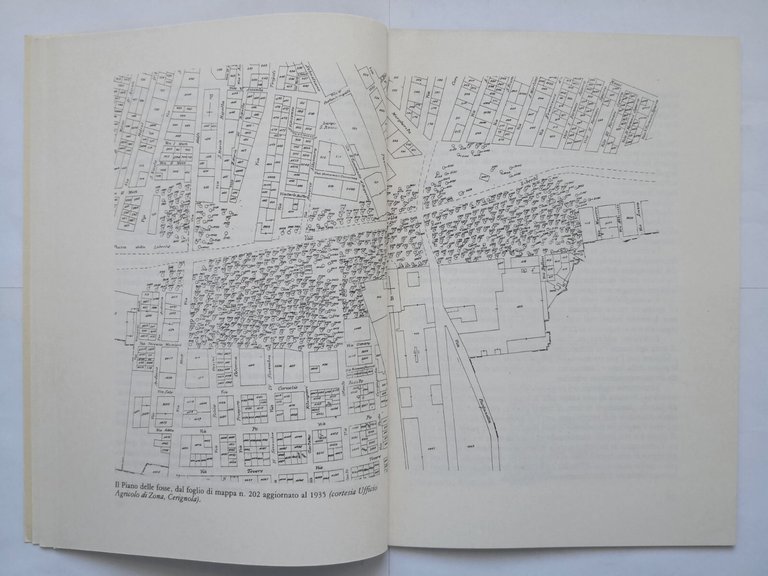 IL PIANO DELLE FOSSE DI CERIGNOLA di Tomassino Conte 1988 …