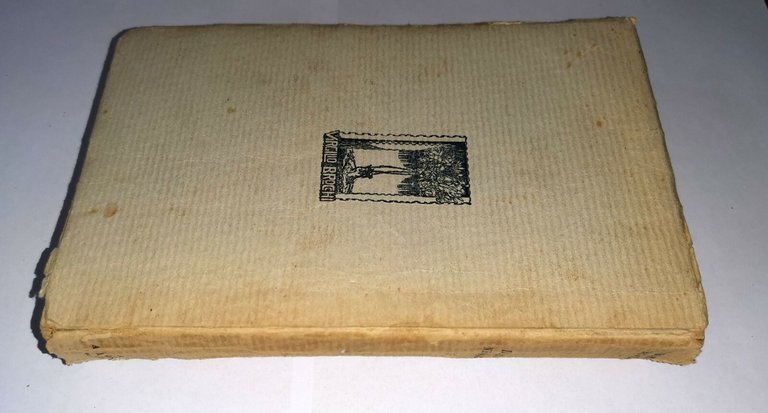 IL POSTO NEL MONDO di Virgilio Brocchi 1921 Mondadori romanzo