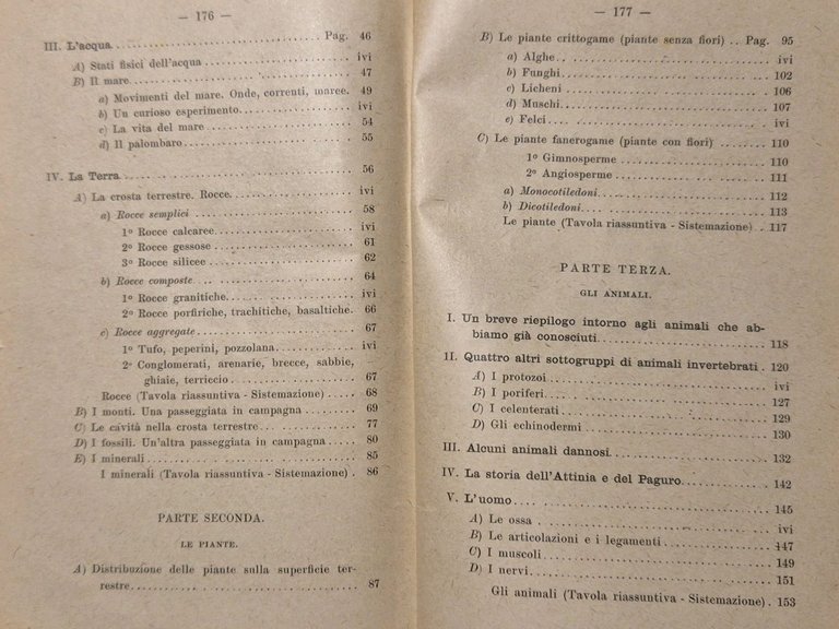 IL QUINTO ANNO DI INSEGNAMENTO OGGETTIVO Raffaello Zeno 1919 Libro …