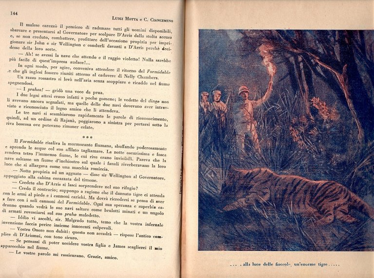 IL RE DELLA GIUNGLA di L Motta e C Ciancimino …