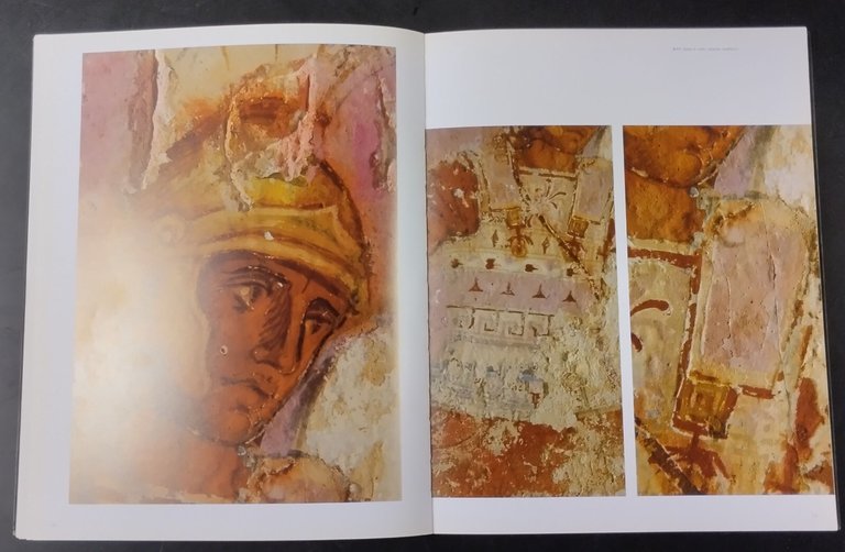 IL SARCOFAGO DELLE AMAZZONI di Bottini Setari 2007 Mondadori Electa …