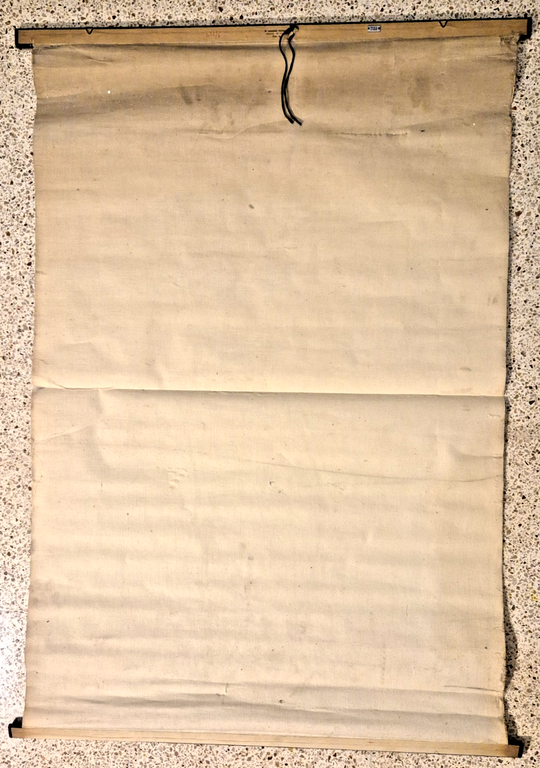 IL SISTEMA NERVOSO POSTER DIDATTICO Vintage 1951 Tavola Paravia Studio …