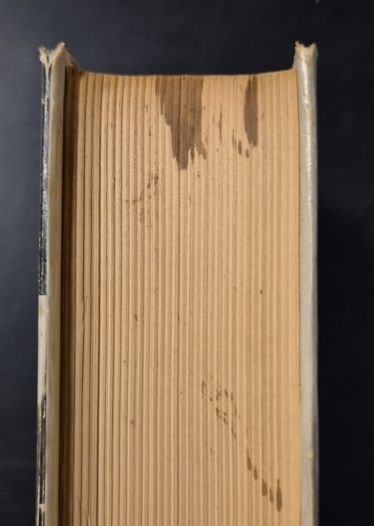 IL SOCIALISMO IN UN SOLO PAESE di Edward Carr 2 …