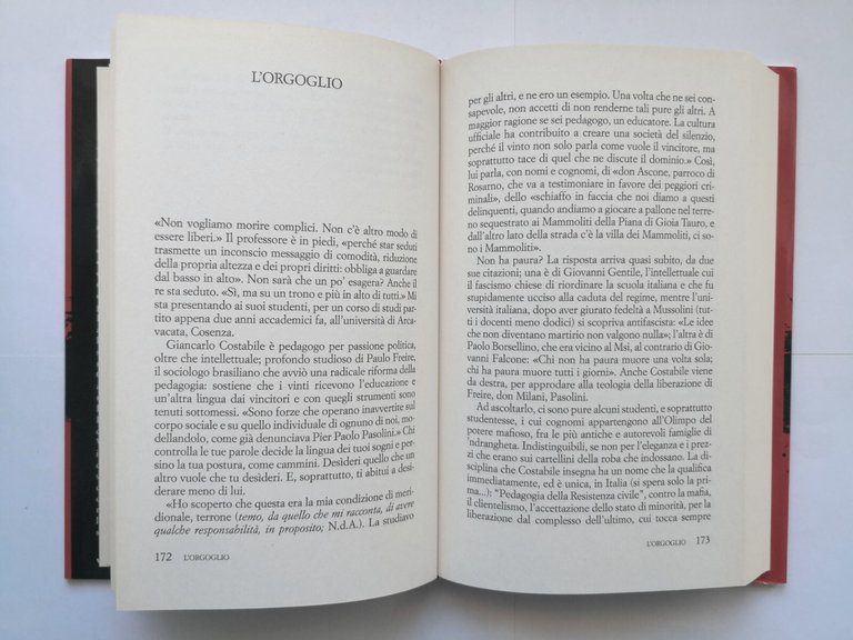 IL SUD PUZZA di Pino Aprile 2015 Piemme libro storia …