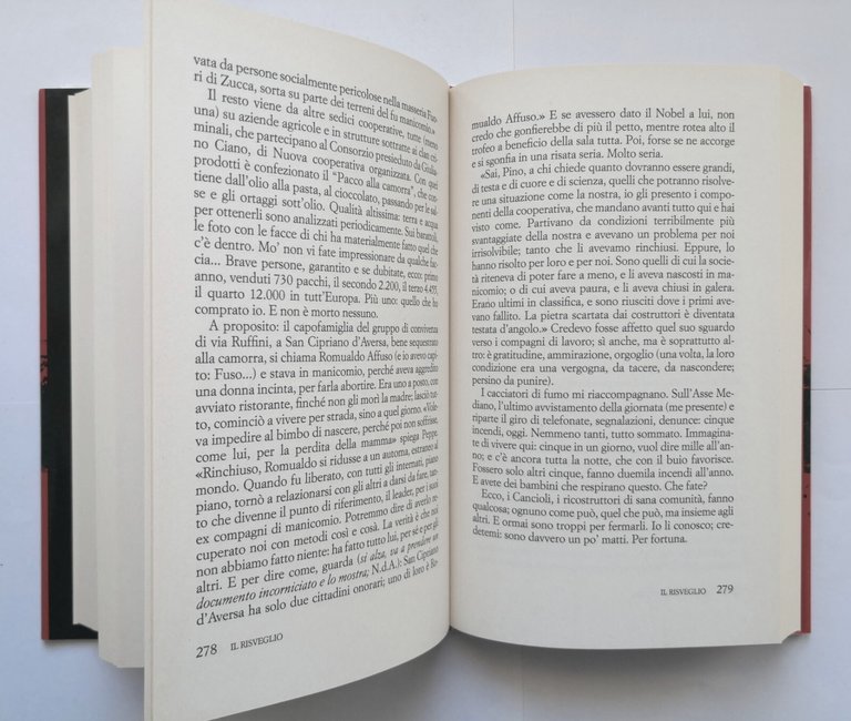 IL SUD PUZZA di Pino Aprile 2015 Piemme libro storia …