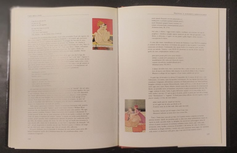 IL TANTRA LA RICERCA DELL'ESTASI di Indra Sinha 1995 Gremese …