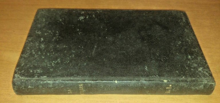 IL TEMPIO - QUADRO DELLA DIVINA MISERICORDIA di Geremia Bonomelli …