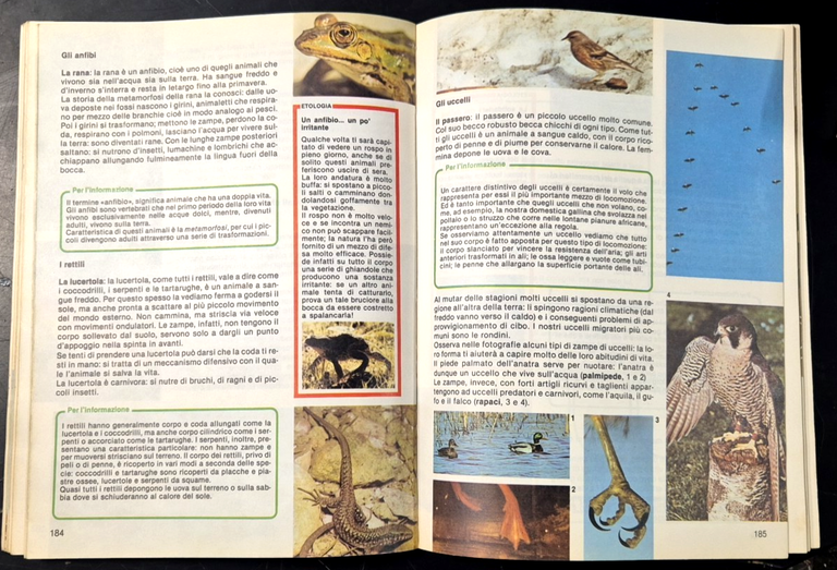 IL TEMPO E LE COSE 1985 Giunti Sussidiario per la … | Immagine Gallery 3