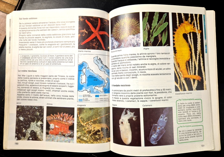 IL TEMPO E LE COSE 1986 Giunti Libro Sussidiario per … | Immagine Gallery 2