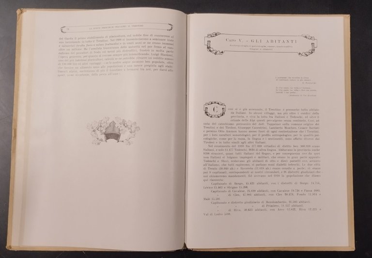 IL TRENTINO di Attilio Brunialti 1919 UTET Libro LE NUOVE …