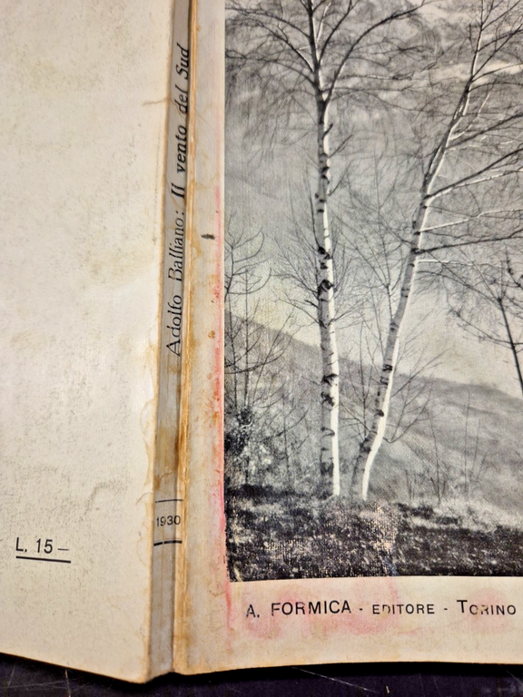 IL VENTO DEL SUD di Adolfo Balliano 1930 Formica libro …