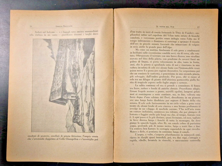IL VENTO DEL SUD di Adolfo Balliano 1930 Formica libro …