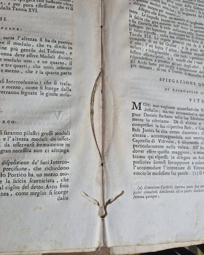 IL VIGNOLA ILLUSTRATO proposto da Spampani Antonini 1770 Pagliarini Libro …