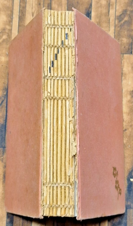 IL VIOLINO TZIGANO di M Delly 1952 Salani Biblioteca delle … | Immagine Gallery 3