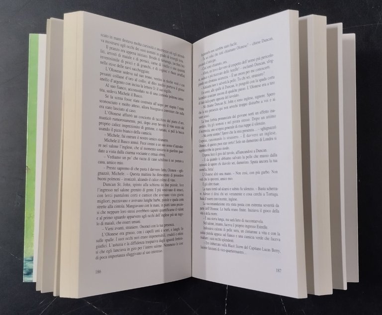 IL VOLTO DEL DIAVOLO di Sharon K Mckinney 2002 editrice …