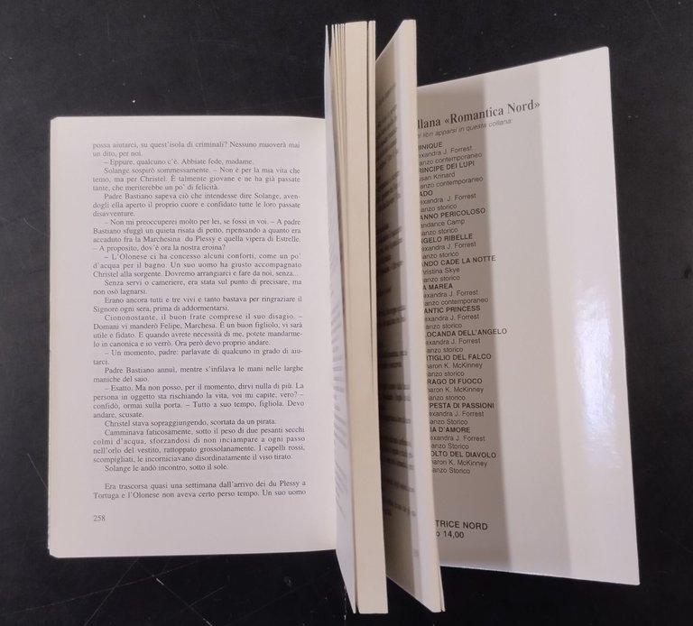 IL VOLTO DEL DIAVOLO di Sharon K Mckinney 2002 editrice …