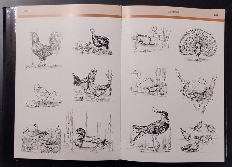 ILLUSTRAZIONE GRAFICA 1 cura di Ambrogio Colombo 1985 Ancora Libro …