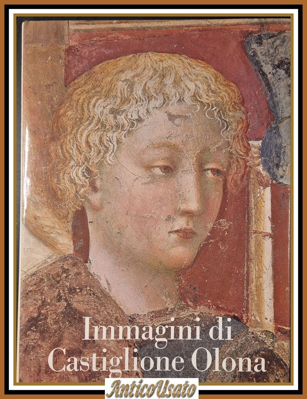 IMMAGINI DI CASTIGLIONE OLONA Cattaneo Dell'Acqua 1976 Cariplo Libro arte
