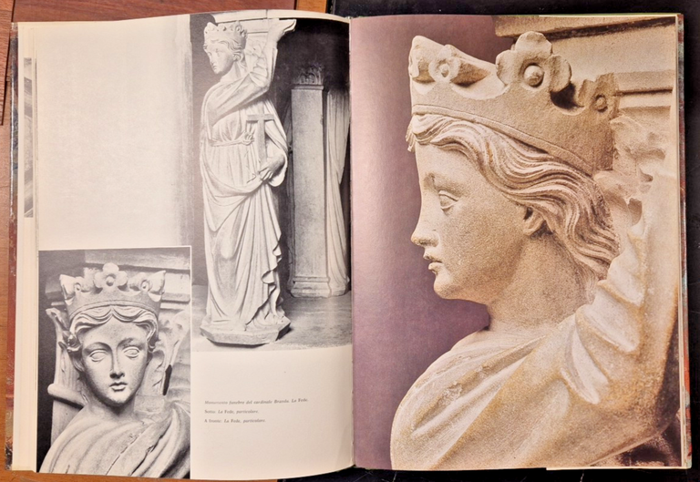 IMMAGINI DI CASTIGLIONE OLONA Cattaneo Dell'Acqua 1976 Cariplo Libro arte