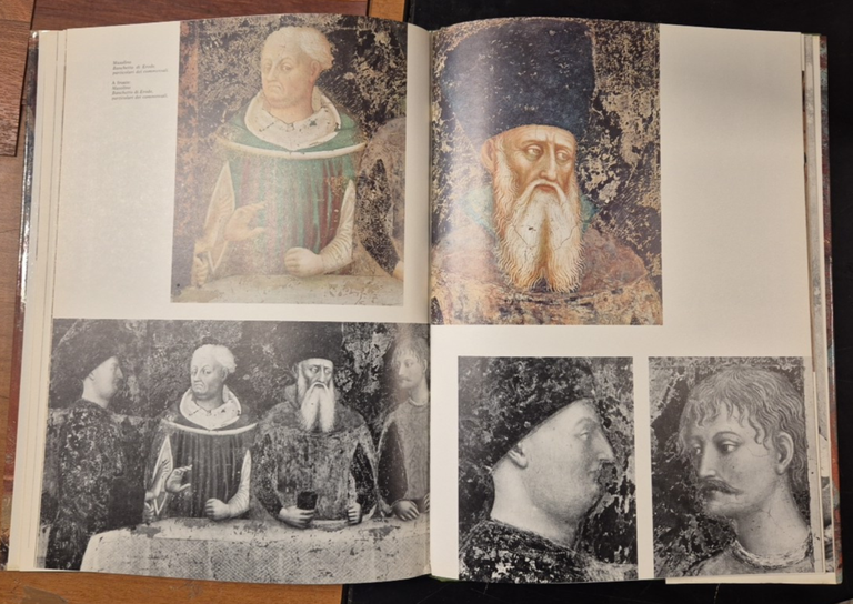 IMMAGINI DI CASTIGLIONE OLONA Cattaneo Dell'Acqua 1976 Cariplo Libro arte