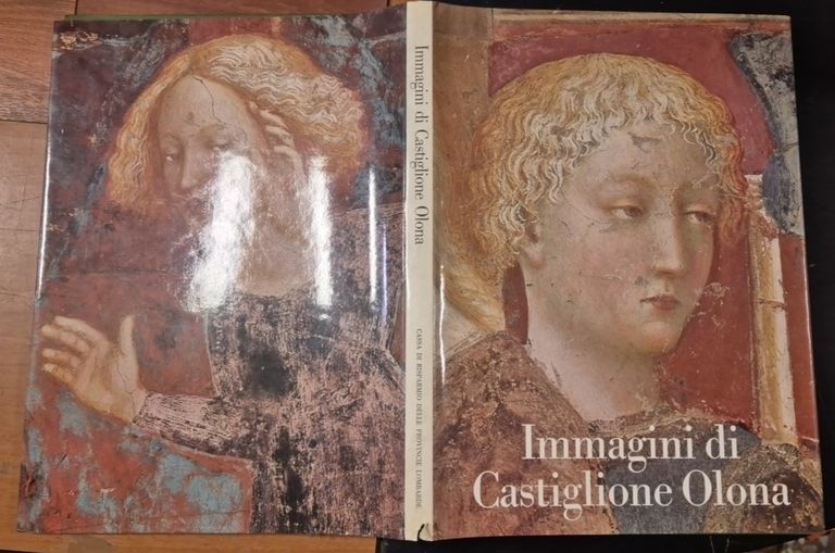 IMMAGINI DI CASTIGLIONE OLONA Cattaneo Dell'Acqua 1976 Cariplo Libro arte