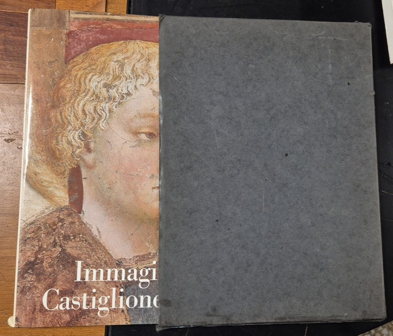 IMMAGINI DI CASTIGLIONE OLONA Cattaneo Dell'Acqua 1976 Cariplo Libro arte