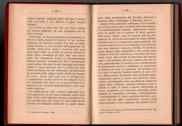 IMMUNITÀ E RESISTENZA ALLE MALATTIE di Galli Valerio 1897 Hoepli …