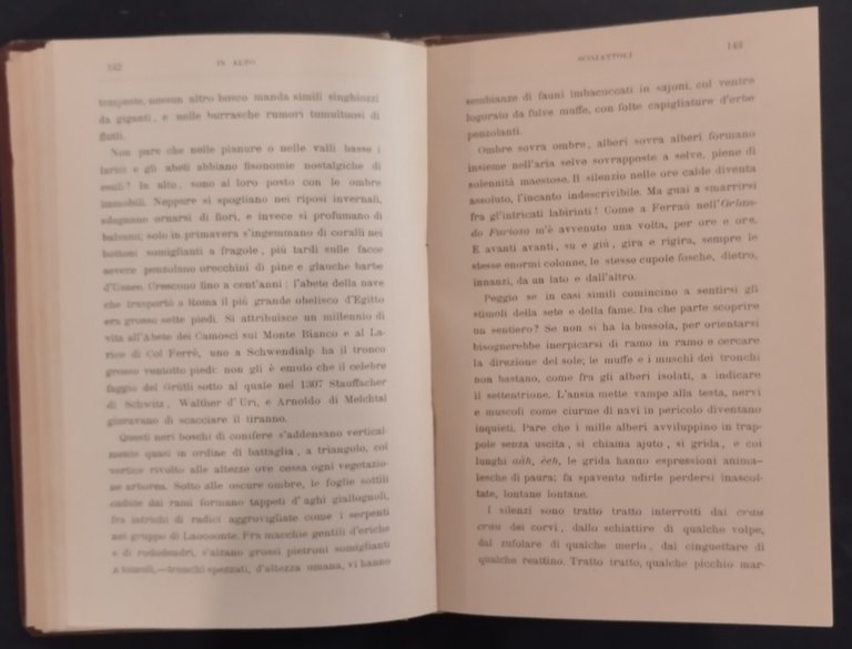 IN ALTO SULLE MONTAGNE di Paolo Lioy 1899 Sandron Libro …
