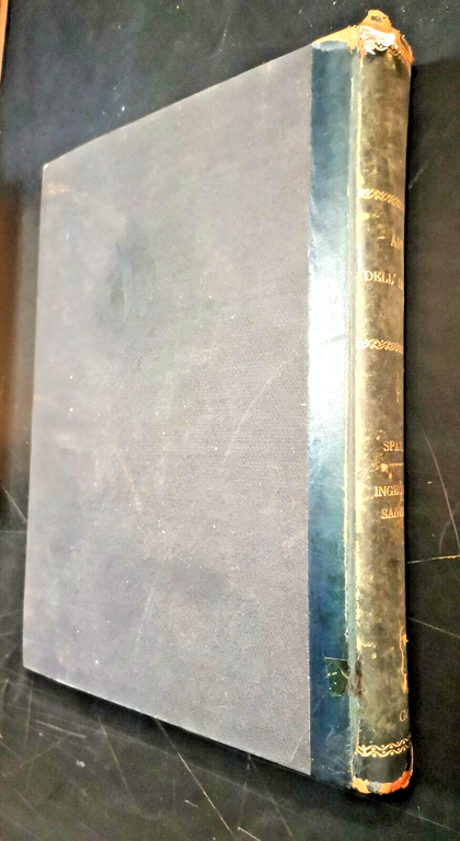 INGEGNERIA SANITARIA provvista dell’acqua di Donato Spataro 1909 Vallardi libro