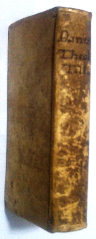 INSTITUTIONES DOCTRINAE CRISTIANAE tomo 2 Petro Ludovico Danes 1733 Libro …