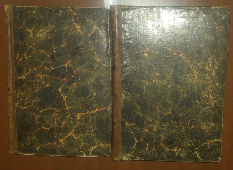 INSTITUTIONES JURIS ECCLESIASTICI PUBLICI ET PRIVATI Joannis Soglia 1860 Libro
