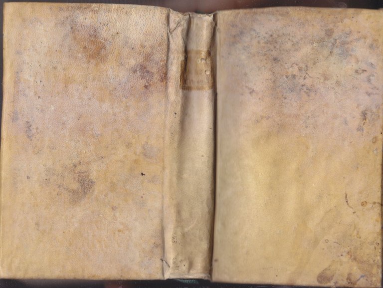 INSTITUTIONES METAPHYSICAE LIBRO I Sigismundi Storchenau 1816 Luca Marotta Libro