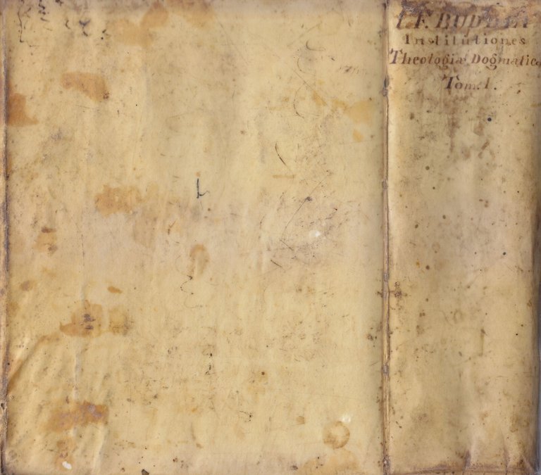 INSTITUTIONES THEOLOGIAE DOGMATICAE Francisci Buddei 1723 Thomae Fritschii Libro
