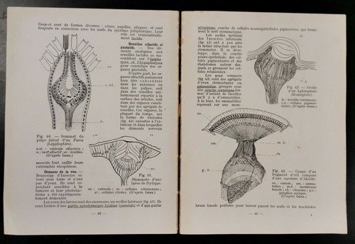 INTRODUCTION A L'ENTOMOLOGIE volume I di R Jeannel. Edition Boubee …