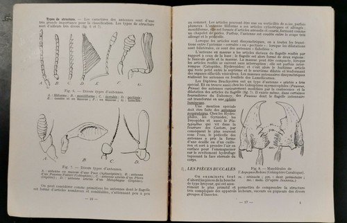 INTRODUCTION A L'ENTOMOLOGIE volume I di R Jeannel. Edition Boubee …